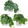 Oairse Lot de 3 petites plantes artificielles dans des pots en céramique décoratives - Plantes tropicales artificielles réalistes - Plante d'intérieur pour la maison, le bureau, la cuisine, la salle